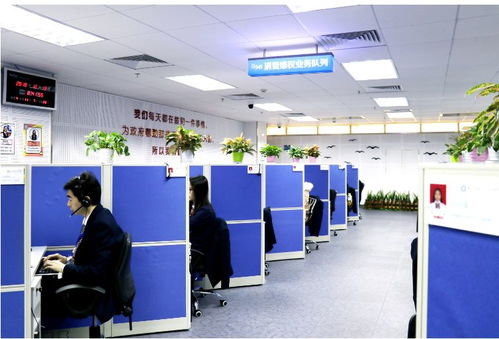 年前找好工作，安心過好年 專業(yè)信息咨詢服務(wù)指南