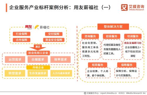 2021上半年中國企業(yè)服務(wù)專題研究報告 信息咨詢服務(wù)市場洞察與未來展望